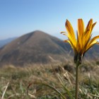 Malá Fatra